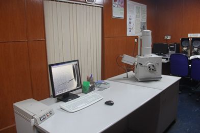 Scanning Electron Microscope Image of Scanning Electron Microscope