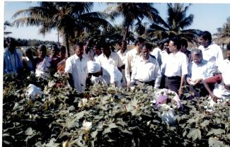 2008 Clean Cotton picking demonstration at Coimbatore on 5 March 2008 Image-2