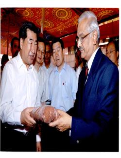 2010 March chinese premier visit Image-12