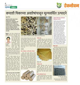 Value added products from cotton crop residues.