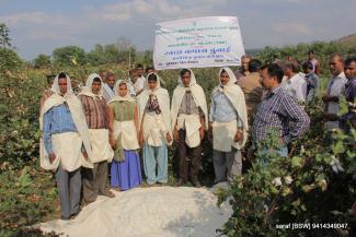 2014 TSP on clean cotton Sirsa on 6 March 2014 Image-5