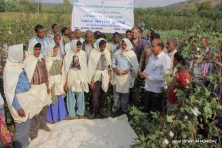 2014 TSP on clean cotton Sirsa on 6 March 2014 Image-6