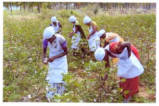 2014 TSP phots – Coimbatore on 20 February 2014 Image-3