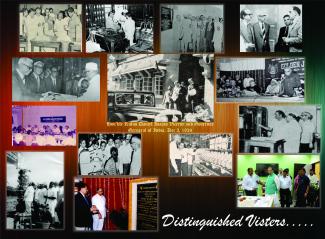 Miscellaneous Image-5
