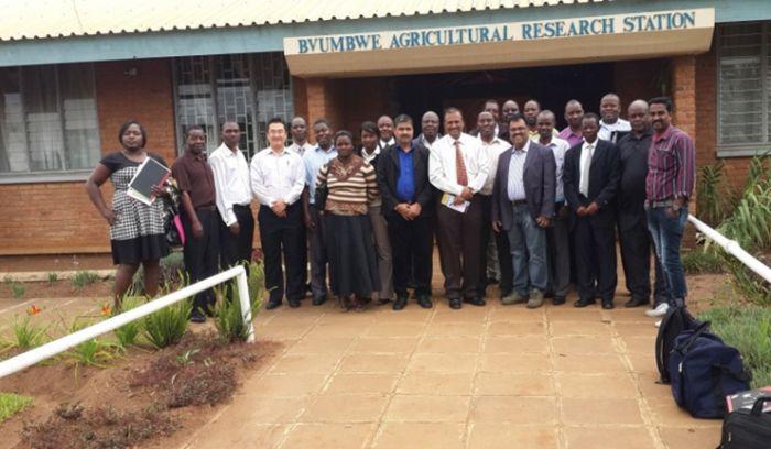 Image of Cotton TAP for Africa: In Country Training Programme on “Post-harvest Management of Cotton and Value Addition to Cottonseed and Crop Residues” conducted at Uganda and Malawi under Cotton TAP by ICAR-CIRCOT, Mumbai