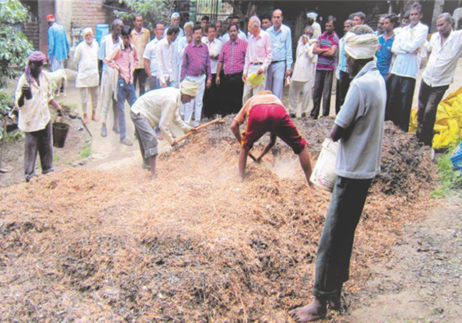 Image of Accelerated Process for preparation of bio-enriched compost